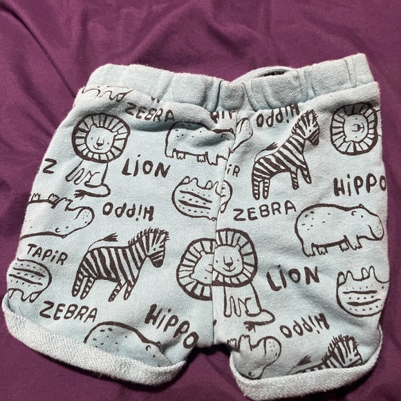 Shorts - Picture 2 of 3